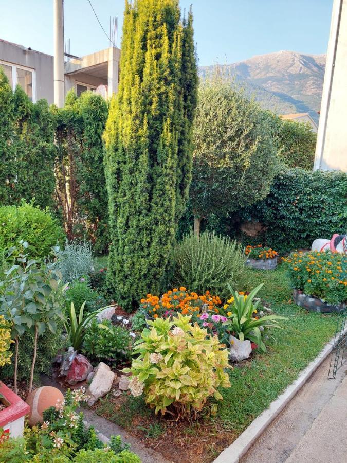 Green Oasis Apartment Kotor Exterior photo
