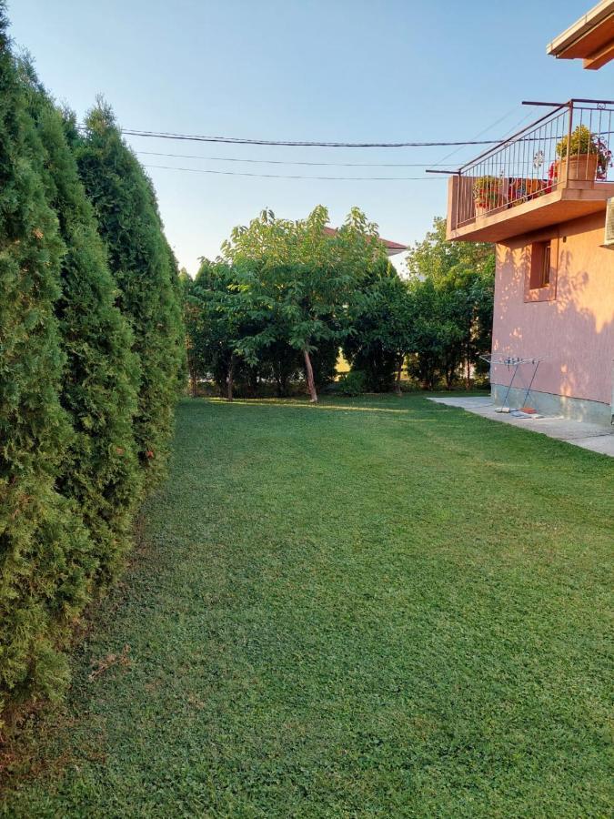 Green Oasis Kotor Exterior photo